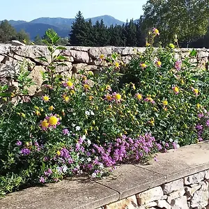 Clos St Jean Baptiste Séjour chez l'habitant Tourves